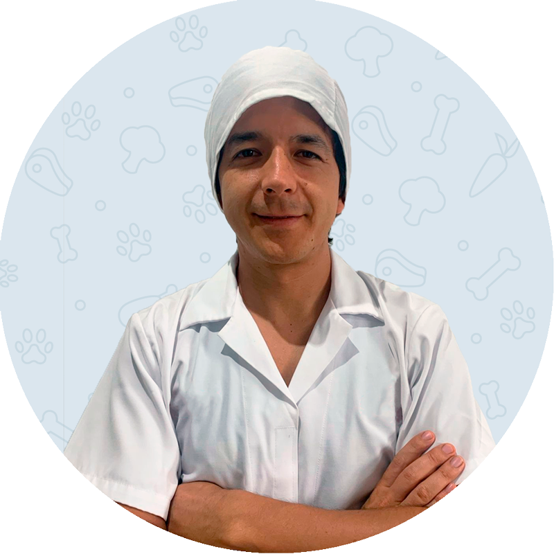 Quienes Somos 1 gupet alimentacion real mascotras quito pablo cueva 2